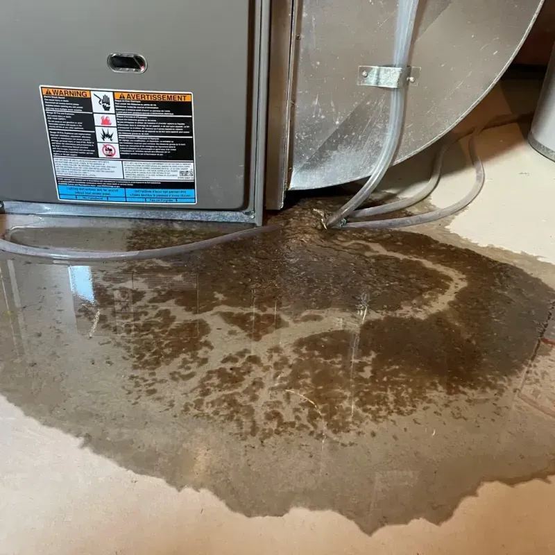 Appliance Leak Cleanup in Alpine, CA